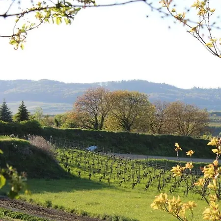 Brunnenhof Garden View Apartamento *